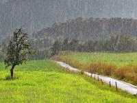 جون، جولائی اوراگست میں معمول سے کم بارشیں ہونے کا امکان